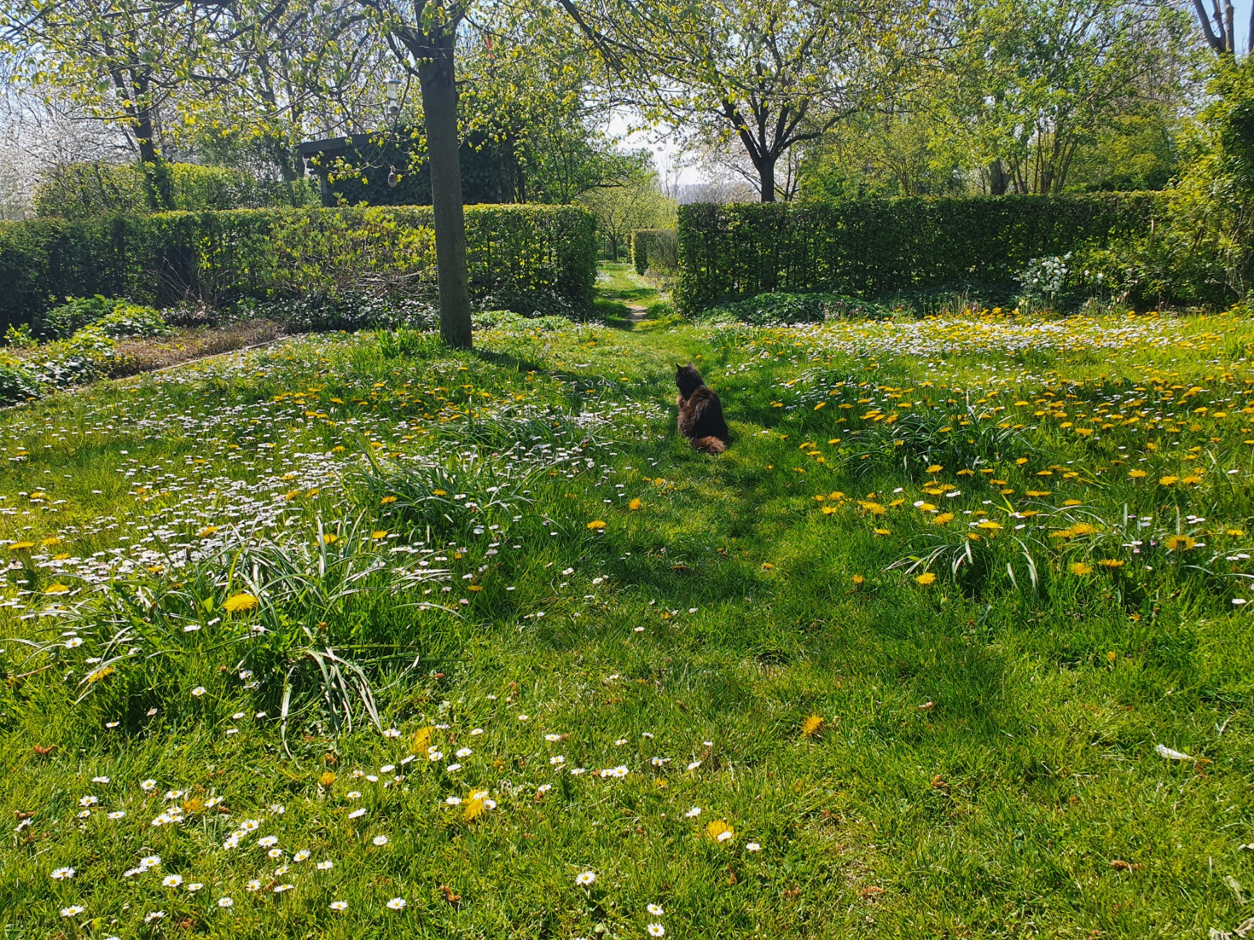 Is jouw tuin klimaatbestendig? Wij helpen je graag! Wemmel